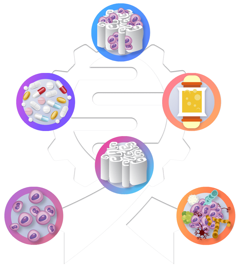 Bioengineered Tumor Project