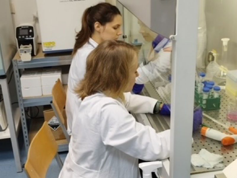 BioengineeredTumor-Vission-image